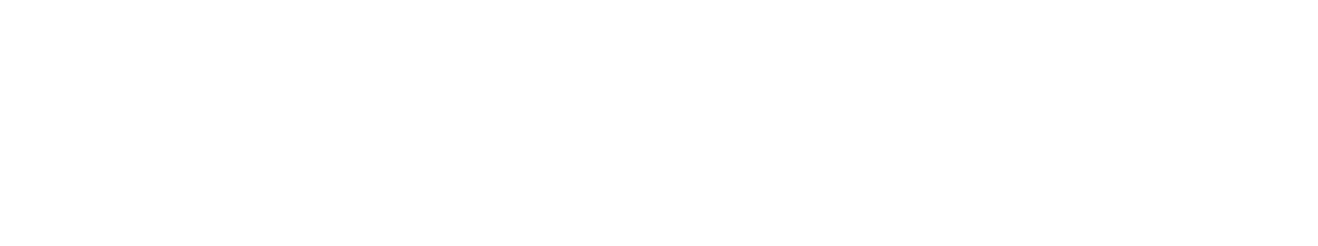 Newsroomie logo